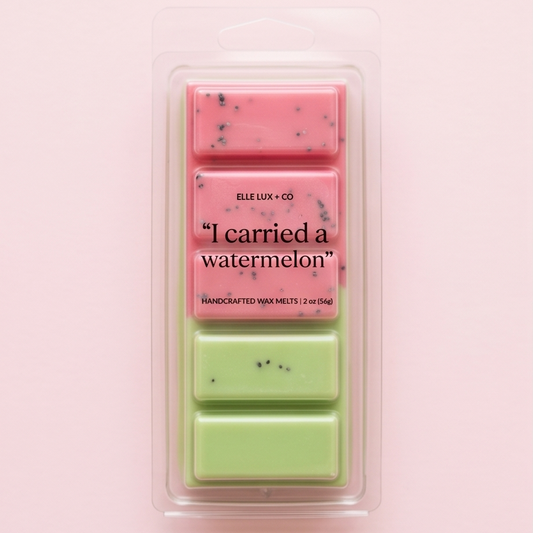 I Carried a Watermelon wax melt bar with fresh fruity scent, 2 oz handmade soy blend wax melts